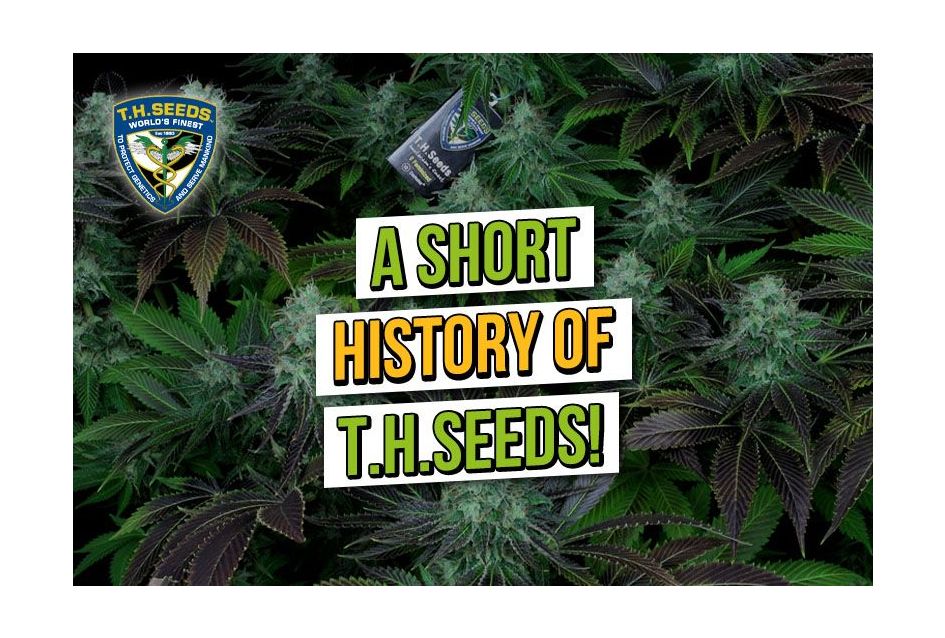 history of t.h.seeds