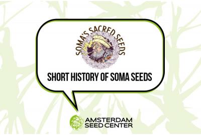 Short History of Soma Seeds
