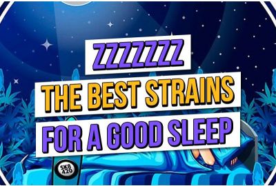 Sweet Dreams Are Made of Weed: Best Cannabis Strains for Sleep