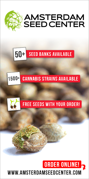 amsterdam seed center amsterdam seed center