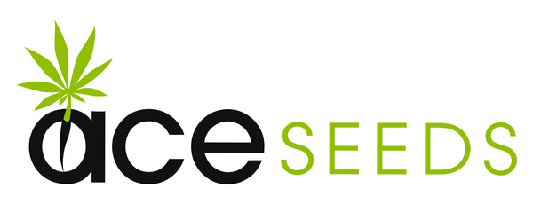 ACE Seeds