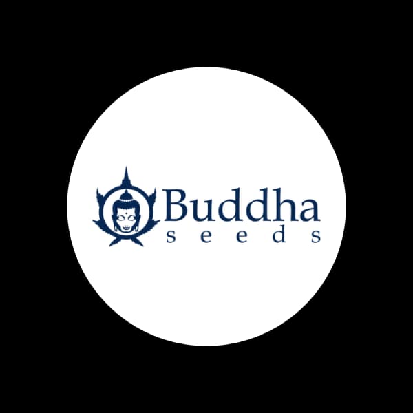 Buddha_Seeds_Logo