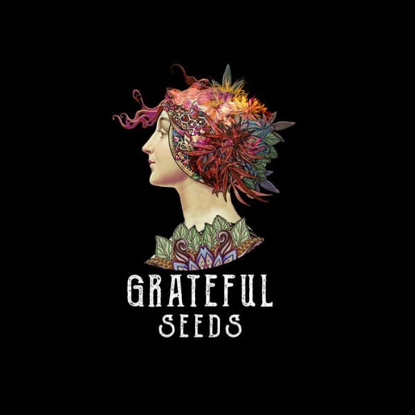 Grateful_Seeds