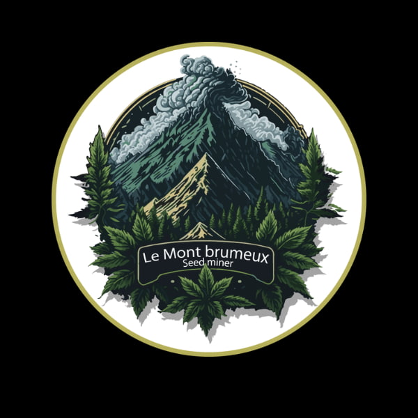 Le_Mont_Brumeux