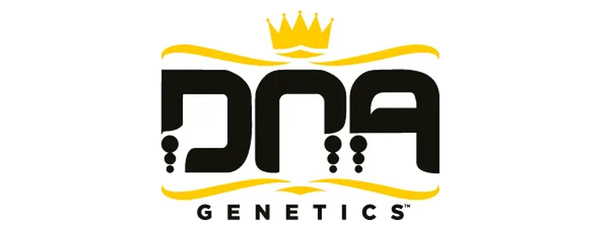 DNA Genetics