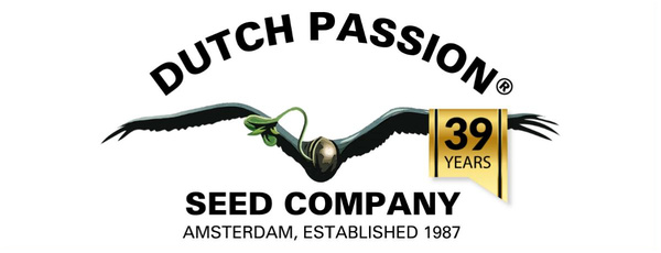 Dutch Passion