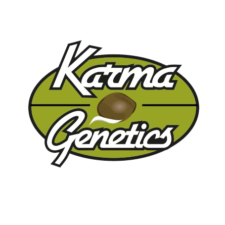 Karma Genetics