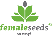 Female Seeds NL