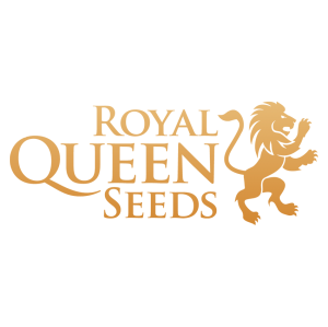 Royal Queen Seeds