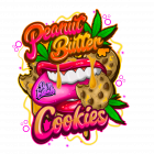 Peanut Butter Cookies - 5-pack