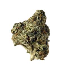 Ak Choco Kush - 10 pack