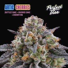 Arctic Cherries - 6-pack