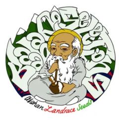 Afghan Landrace Mix Package - 15-pack