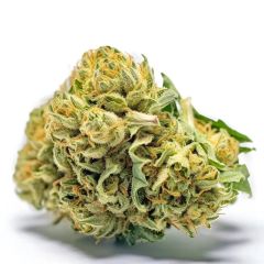 Banana Sherbet - 5-pack