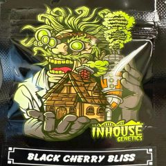 Black Cherry Bliss - 3-pack