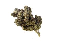 Blue Magic - 5 pack