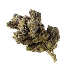 Blue Magic - 3 pack