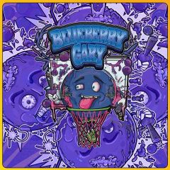 Blueberry Gary - 6-pack