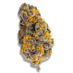 Cherry Punch - 5-pack