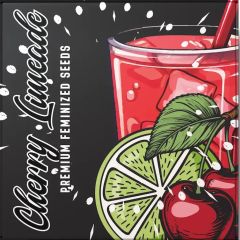 Cherry Limeade - 6 pack