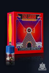 Philbo Baggins Feminized 7-pack