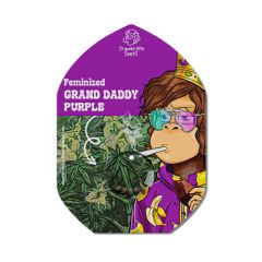 Grand Daddy Purple - 5-pack