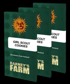 Girl Scout Cookies - 5-pack