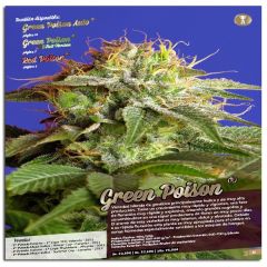 Green Poison Fast Version