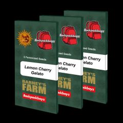 Lemon Cherry Gelato - 5 pack
