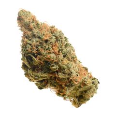 Lemon Haze - 5 pack