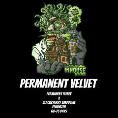 Permanent Velvet - 6-pack
