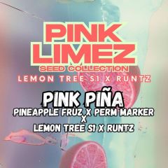 Pink Piña - 7-pack