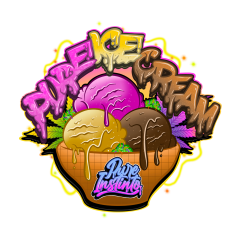 Pure Ice Cream - 5-pack