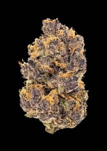 Purple Rush 3 Pack Feminized
