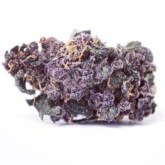 Purple Wreck - 5PACK