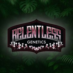 Trop Strawberry - 9-pack