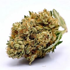 Sour Diesel Haze Autoflower - 5-pack