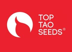 Semi Auto Mix - 15pack - Regular - Top Tao Seeds