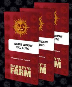 White Widow XXL Auto - 5 pack