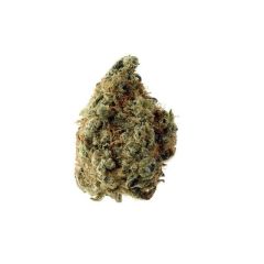white-choco-auto-5pack-amsterdam-genetics