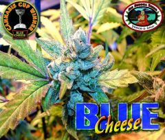 Blue Cheese