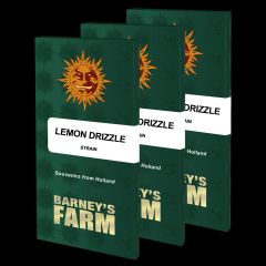 Lemon Drizzle - 5-pack
