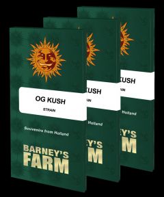 OG Kush - 5-pack