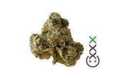 AK-OG Kush - 5PACK