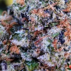 animal-cookies-bc-bud-depot-1