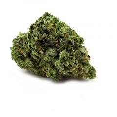 Big Buddha Cheese - 5PACK