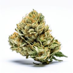 Blue Dream Cake - 5-pack