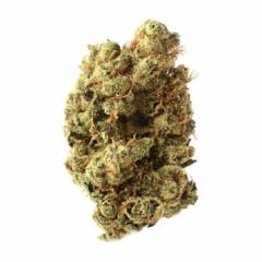 Blue Amnesia Haze - 5-pack