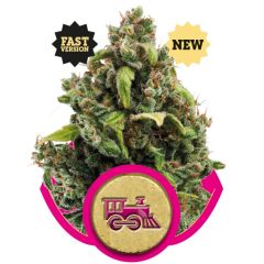 Candy Kush Express (Fast Version)