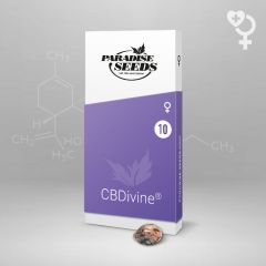 CBDivine